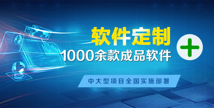卢市软件开发